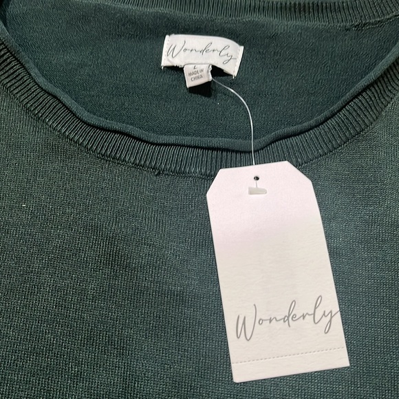 460 NWT Wonderly size large green sweater - Picture 3 of 7